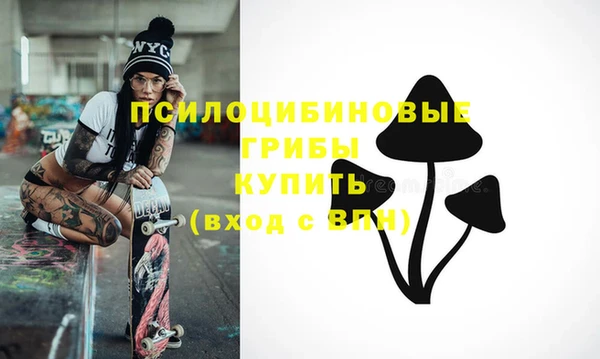 метадон Белокуриха