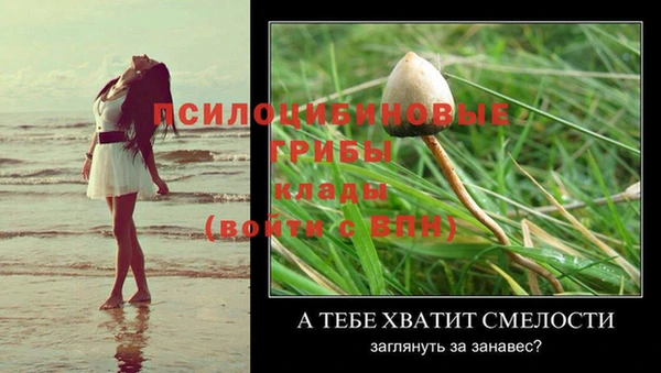 метадон Белокуриха