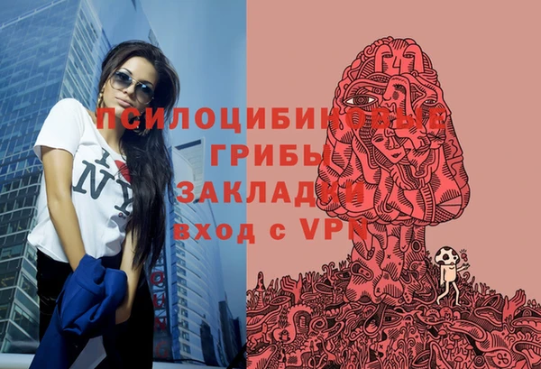 метадон Белокуриха
