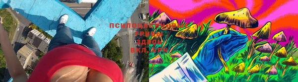кокаин премиум Беломорск