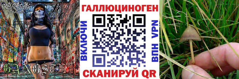 Галлюциногенные грибы MAGIC MUSHROOMS  Шарья 